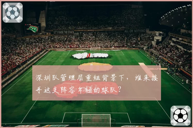 深圳队管理层重组背景下，谁来接手这支阵容年轻的球队？