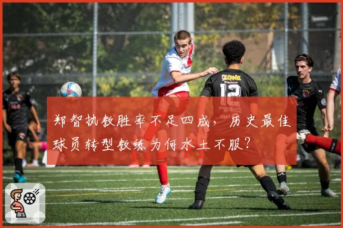 郑智执教胜率不足四成，历史最佳球员转型教练为何水土不服？