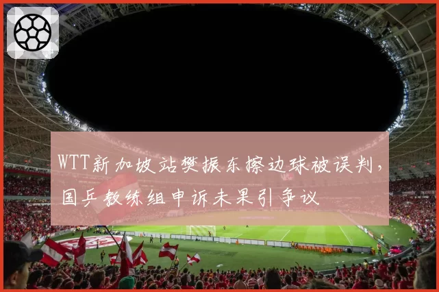 WTT新加坡站樊振东擦边球被误判，国乒教练组申诉未果引争议